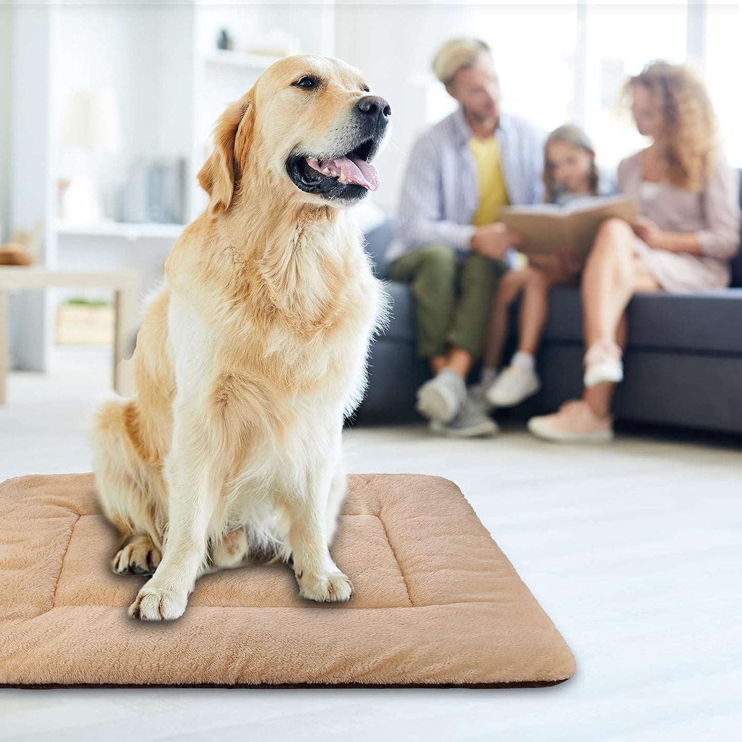 Double-Sided Plush Pet Sleeping Mats, Super Soft Dog Mattresses, Cat Mattresses, Soft Crate Mats, Machine Washable Dog Cage Pet Mats, Kennel Mats for Large, Medium and Small (Medium)
